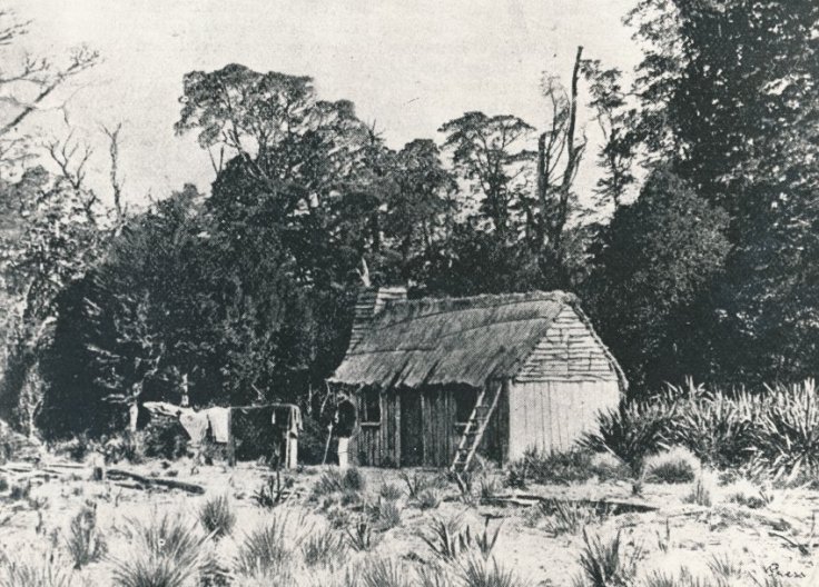 2) A primitive hut on Alford Run, 1860..jpg
