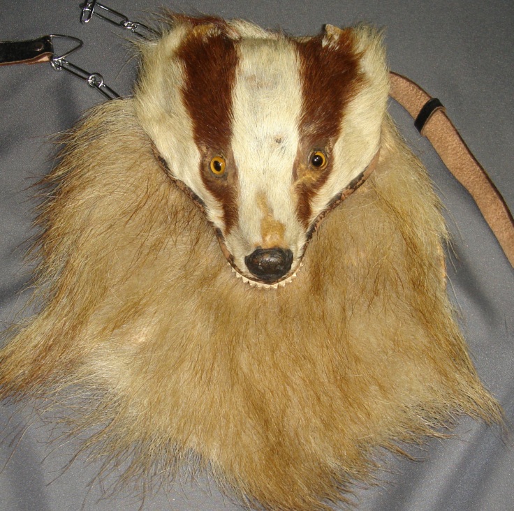 3. Probably my number one object in our collection is this badger head sporran with particularly munted features. We still love him regardless.jpg