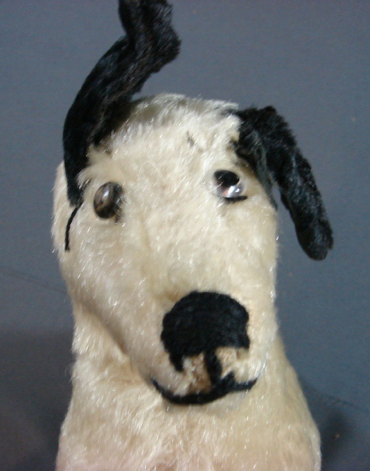 4. Dog from colection.jpg